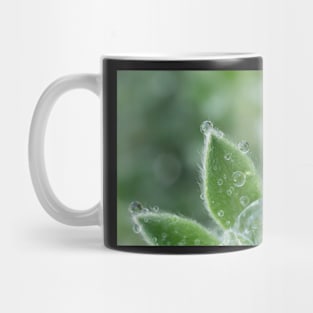 Hairy Canaryflower Mug